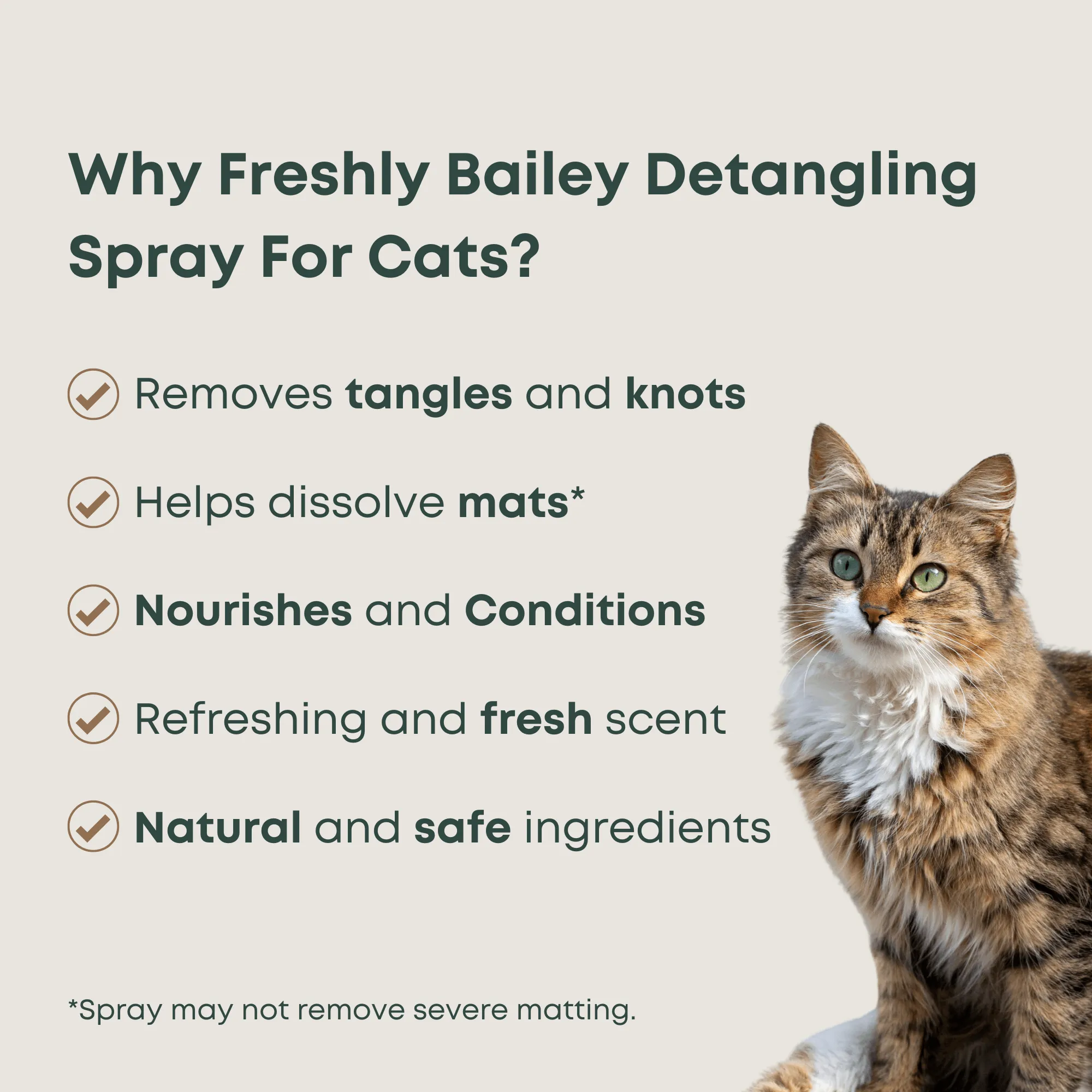 Cat Detangling Spray 16 FL OZ