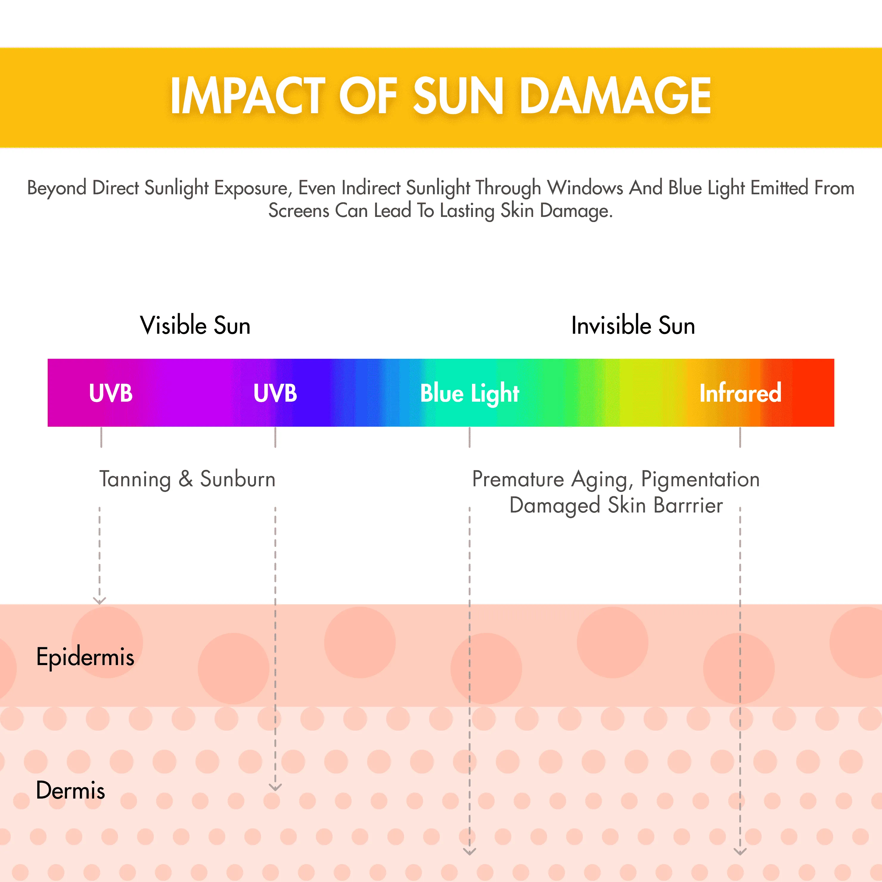 Ceramide Sunscreen | Dewy & Lightweight | SPF50 PA     | Oil-Free