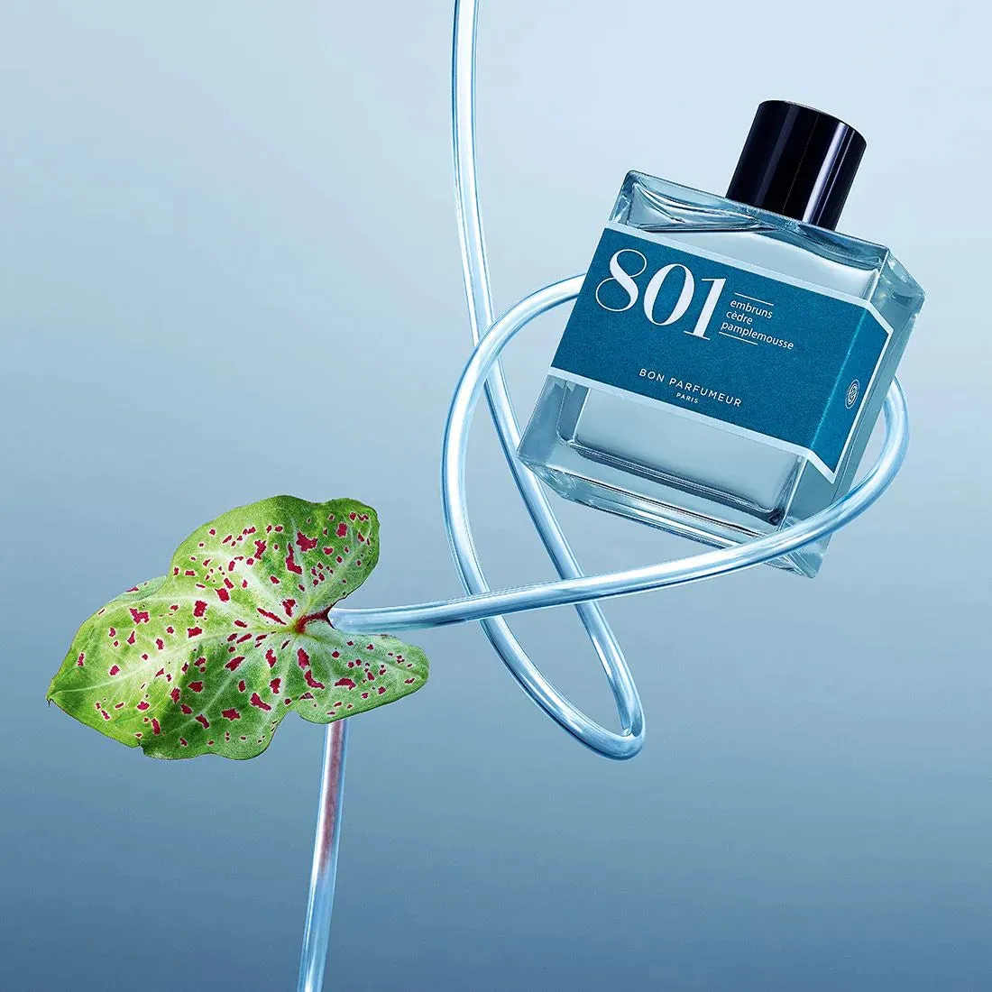 PERFUME 801 | 30ML | SEA SPRAY, CEDAR, GRAPEFRUIT